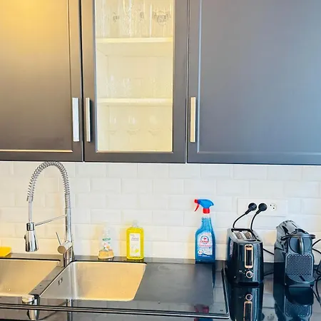 De Luxe L Elysee Appartement Parijs